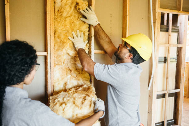 Best Insulation Removal  in Wayne, MI